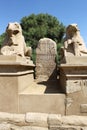 Statue of Ram Headed Sphinx in Karnak Temple, Luxor, Egypt Royalty Free Stock Photo