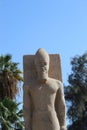 Statue of Rameses II in Mit Rahina Museum