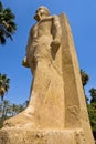 Statue of Rameses II in Mit Rahina Museum Royalty Free Stock Photo