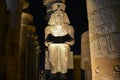 Statue of Ramses II at Luxor Temple at night, Egypt