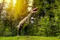 Statue of realistic dinosaur in a woods Royalty Free Stock Photo