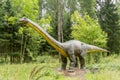 Statue of realistic Diplodocus dinosaur Royalty Free Stock Photo