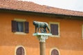 Statue of Romulus, Remus and Capitoline wolf in Pisa Royalty Free Stock Photo