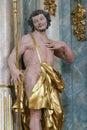 Statue of saint on the altar of Saint Paul the Hermit in the church of Immaculate Conception in Lepoglava, Croatia