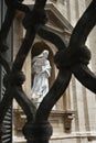Statue of Saint Teresa of Avila Viewed Through Fen