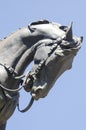 Statue sculpture of George Washington`s horse`s head