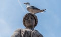 Statue and a Seagull