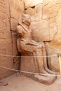 Statue of Seated Pharaoh Thutmose III at the Festival Hall of Thutmose III