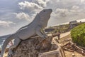 Statue in the shape of an Iguana Royalty Free Stock Photo