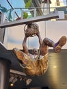 A statue of Shaquille O\'Neal dunking a basketball a Lakers uniform in front of Crypto.com Arena in Los Angeles California