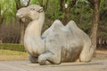 Statue of a sitting camel