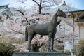 Cherry blossom season in Tokyo, Japan