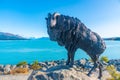 Statue of Tahr at lake Pukaki in New Zealand