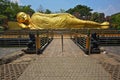 Reclining Golden Buddha Statue Parinirvana