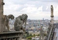 Statue on th Notre Dame in Paris cathedral while observing the c