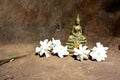 Statue of Thai Buddha in meditation pose with white flowers Royalty Free Stock Photo