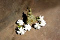 Statue of Thai Buddha in meditation pose with white flowers Royalty Free Stock Photo
