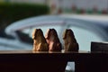 Statue of three dogs sitting on a fence porch