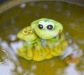 Statue of a toy frog with a frog underwater in a pond. Royalty Free Stock Photo