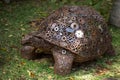 The statue of a turtle made of metal, gears.