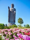 Ushiku Daibutsu - World Tallest Bronze Statue of Buddha