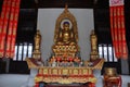 Statue of Vairocana Buddha in Pilu Temple, Nanjing Royalty Free Stock Photo