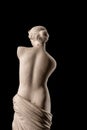 A statue of Venus, plaster