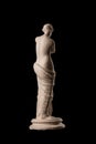 A statue of Venus, plaster