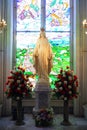 Statue of Vergin Mary in church,thailand . Royalty Free Stock Photo