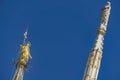 Statue of the Virgin Mary on top of Milan Cathedral Duomo di Milano in Italy Royalty Free Stock Photo