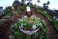 Statue white eagle head with brown fur in the flowers garden side by side with horse statue and santa claus statue