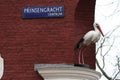 Statue of White Stork in Amsterdam, Gevelbeeld Ooievaar in Amsterdam Royalty Free Stock Photo