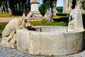 Statue of a wild boar drinking from a fountain. Royalty Free Stock Photo