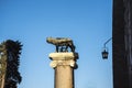 Statue of the She Wolf suckling Romulus and Remus on the Capitoline Hill in Rome Italy