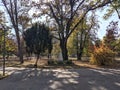 Statue Woman sitting - Mihai Eminescu Park - Arad, Romania