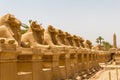 Statues in the Alley of the Ram Headed Sphinxes at the Temple of Karnak in Luxor, Egypt Royalty Free Stock Photo