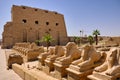 Avenue of Sphinxes in the Karnak temple in Luxor, Egypt