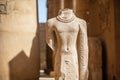 Statues of ancient Egyptian pharaohs and gods. Various hieroglyphs on the walls. Karnak temple is the largest complex in Egypt Royalty Free Stock Photo