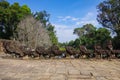 Statues of ancient khmer warrior heads carry giant snake decorating bridge over canal to Preah Khan temple. Preah Khan is a temple