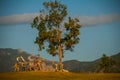 Statues of ancient, primitive people who hunt the mammoth. Prehistoric animal models, sculptures in the valley Of the national Par