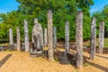 Statues at Atadage at the quadrangle of Polonnaruwa ruins, Sri L Royalty Free Stock Photo