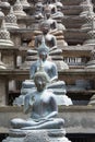 Statues of Buddha in Gangaramaya temple