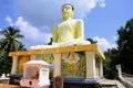 Statues Buddha in Sri Lanka Royalty Free Stock Photo