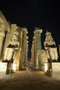 Statues and columns in hypostyle hall at Luxor Temple during night Royalty Free Stock Photo