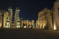 Statues and columns in hypostyle hall at Luxor Temple during night Royalty Free Stock Photo