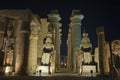 Statues and columns in hypostyle hall at Luxor Temple during night Royalty Free Stock Photo