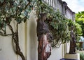 Statues in the courtyard of Achilleion palace of Empress of Austria Elisabeth of Bavaria