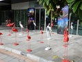 Flamingo statues