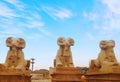 Rams Road in Luxor, Egypt, and this is part of it, where statues appear with the body of a lion on a ram\'s head