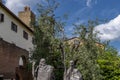 Statues of Leonardo da Vinci and Qi Baishi by Chinese artist Wu Weishan, in the historic center of Vinci, Florence, Italy Royalty Free Stock Photo